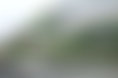 フェルト雷鳥の展示販売（2025年7月〜）