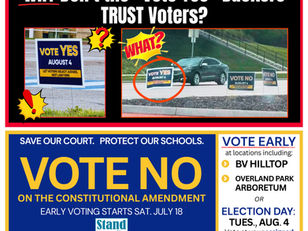 Why don't the "vote yes" backers Trust Voters?