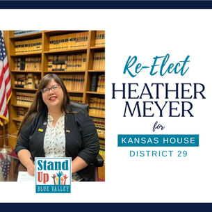 Heather Meyer for House District 29
