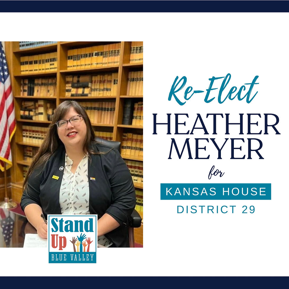 Heather Meyer for House District 29