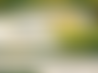 THE D. TERRENCE FOSTER FOUNDATION INC, 2026 ANNUAL GOLF TOURNAMENT