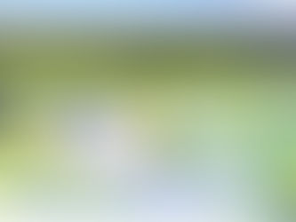 Massive 6,041 Acre S. Texas Ranch Land --The OJW Ranch Selling for Under $30m