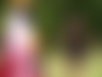 Alsobrooks Also Ran For The Prince George Senate Seat Defeating Trone w/a 54% Primaries Election Lead