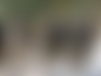 IDF Reports The Debacle of N Gaza Hamas Regimes w/ Plansvfor Moving To The Next Hamas Local