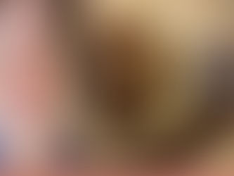 A Private, anti-Biden, anti-Conservative Group, The American Accountability Foundation Attempts to Use Influence To Renounce Willis & Wade