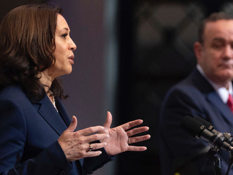 US Vice President Harris Meets w/Guatemalan President Arevalo in Illegal Immigration Root Cause Discussion