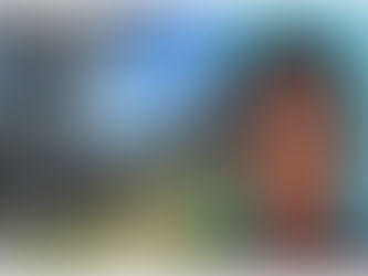 Pennsylvania Man Arrested After Killing 13 Yr Old Sister & 2 Other Members of His Family