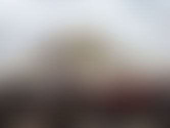 USSCOTUS Justice Thomas Overlooks Ginn’s Role In Trump Election/Campaign & Avoids Recusal