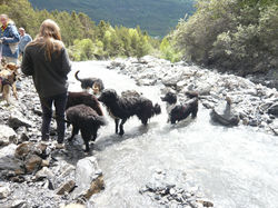 Balade collective refuge Audacce Ubaye