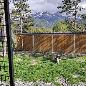 Pension canine en Ubaye (Barcelonnette, Alpes de haute provence 04)