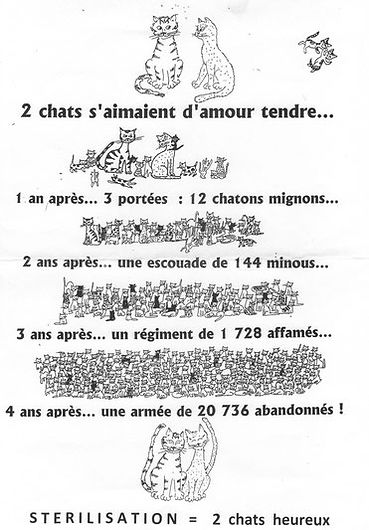 stérilisation.jpg
