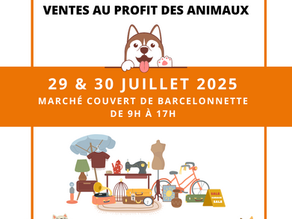 Vide grenier juillet 2025 Barcelonnette