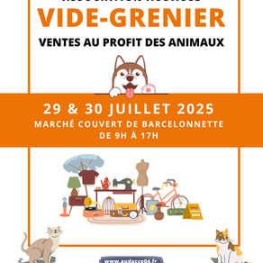 Vide grenier juillet 2025 Barcelonnette