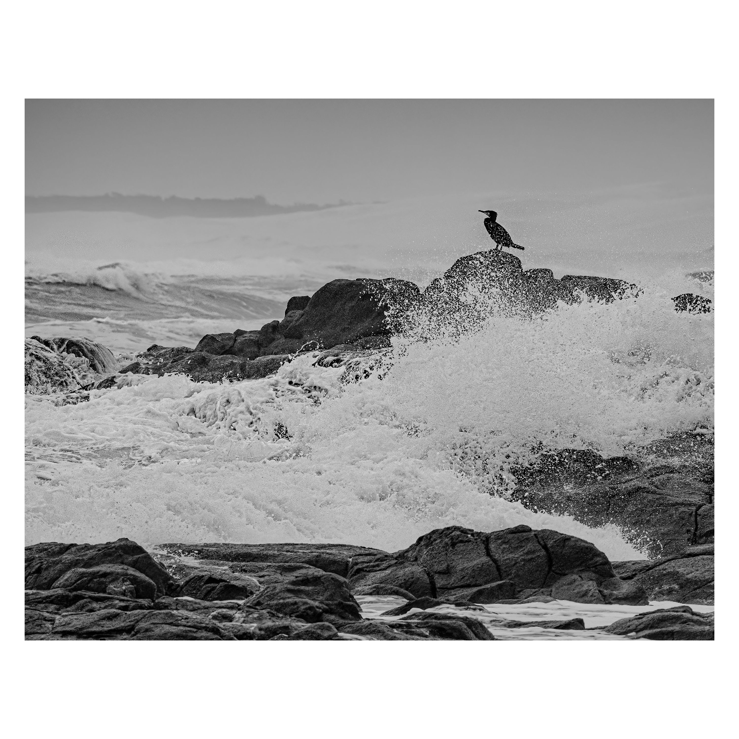 Solitude Amid the Surge - Jennifer Newman