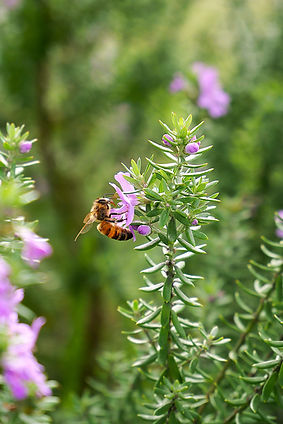 photo_1.jpg