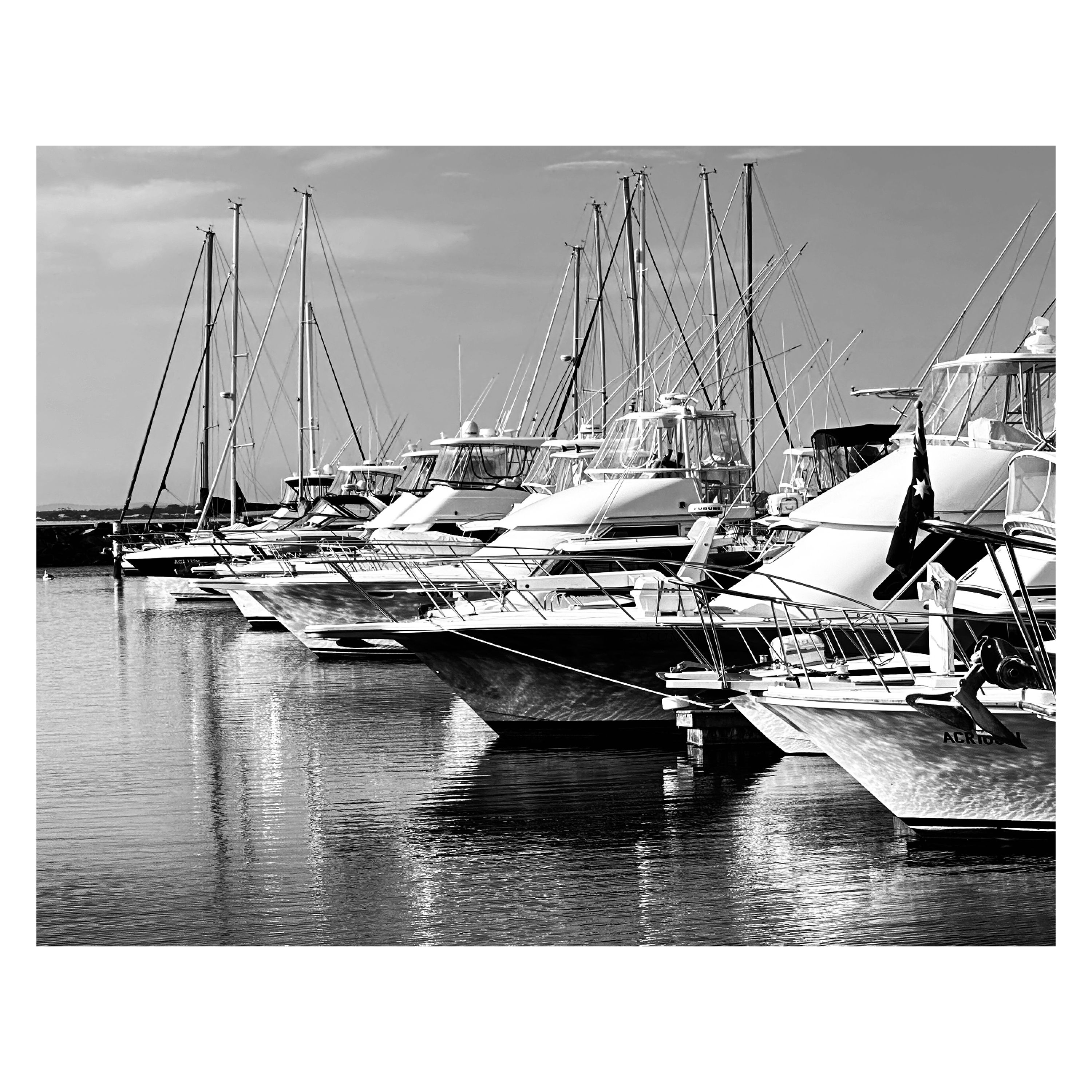 Night at Marina - Susan Zhou