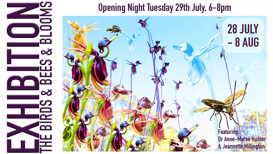 Banner 1920x1080 The Birds and Bees and Blooms Exhibition Poster.png