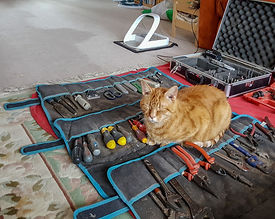 Gingy guarding Cat sitter Phil's tools