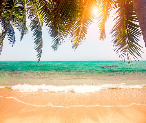 shutterstock_1922689139_edited.jpg