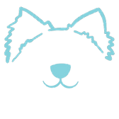 Outline in blue of a Pomeranian