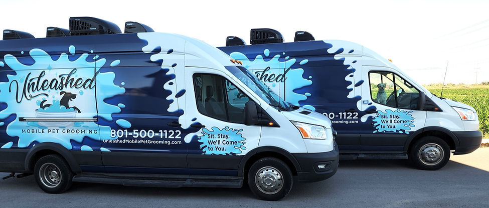 Picture of two of Unleashed's vans.