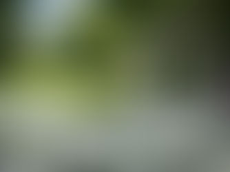 1 year to go planning checklist