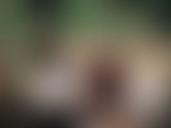 Registry ideas - when you've got all you need!