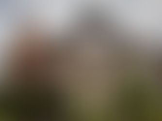 5 Wedding Planning Tips