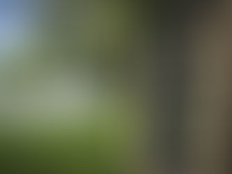 How to show your guests where to go.