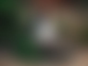 Let's talk editing versus digital retouching!