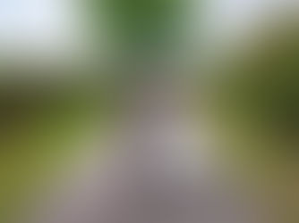 Jemima and Parth, Knutsford, Cheshire