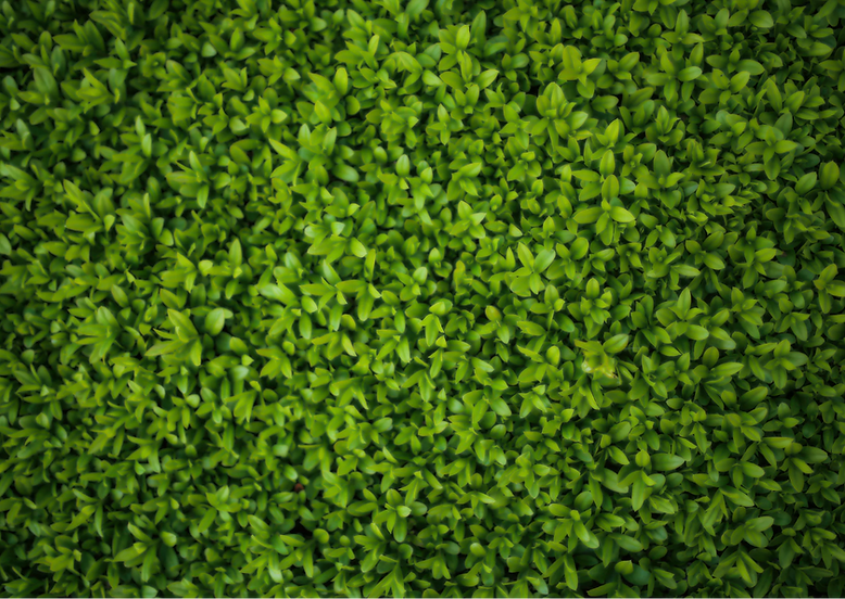 4038E16B-B67F-4F73-A29E-9CE0D06934A7 (1).png