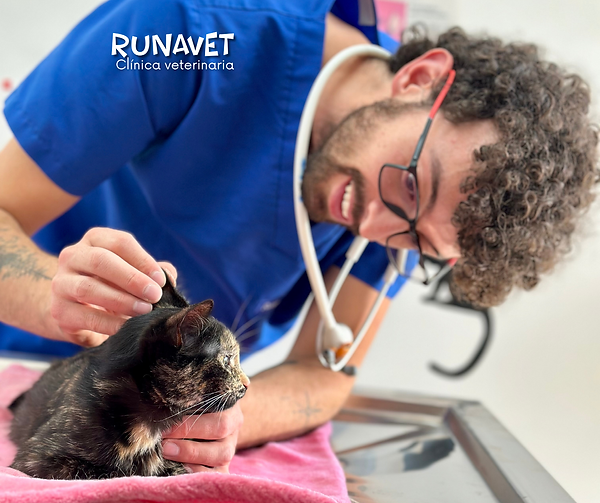 consulta_veterinaria_en_quito