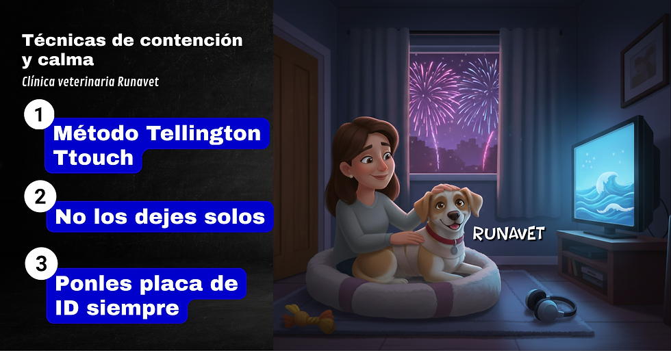 miedo a la pirotecnia en tus mascotas