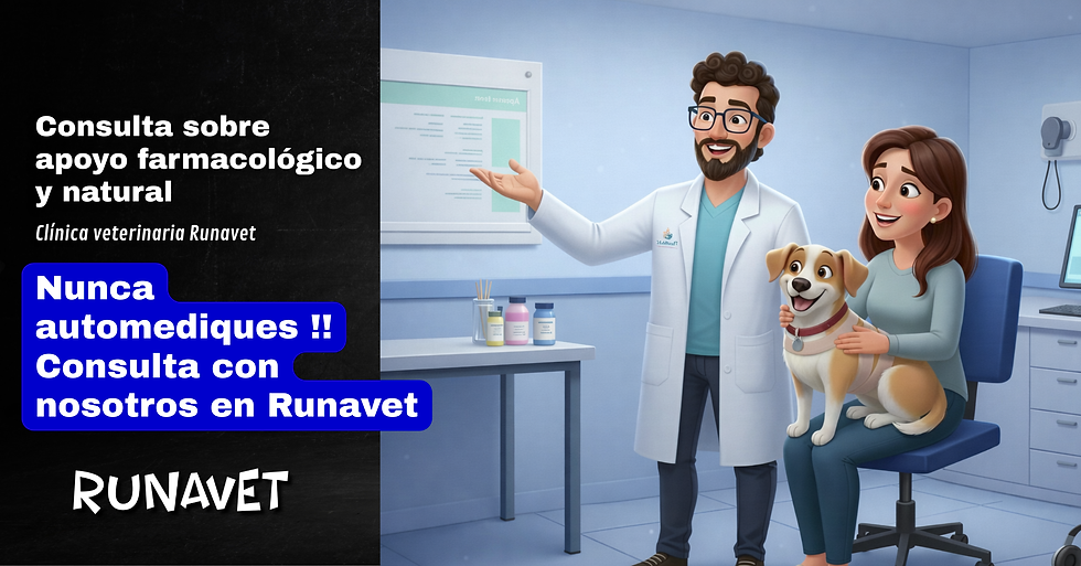 miedo a la pirotecnia en tus mascotas