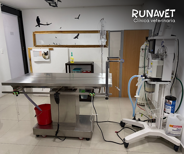 quirófano_veterinario_runavet