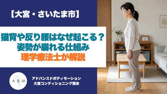 大宮・さいたま市の整体ABMが、猫背や反り腰が起こる仕組みと姿勢改善の考え方を理学療法士の視点で解説するブログアイキャッチ