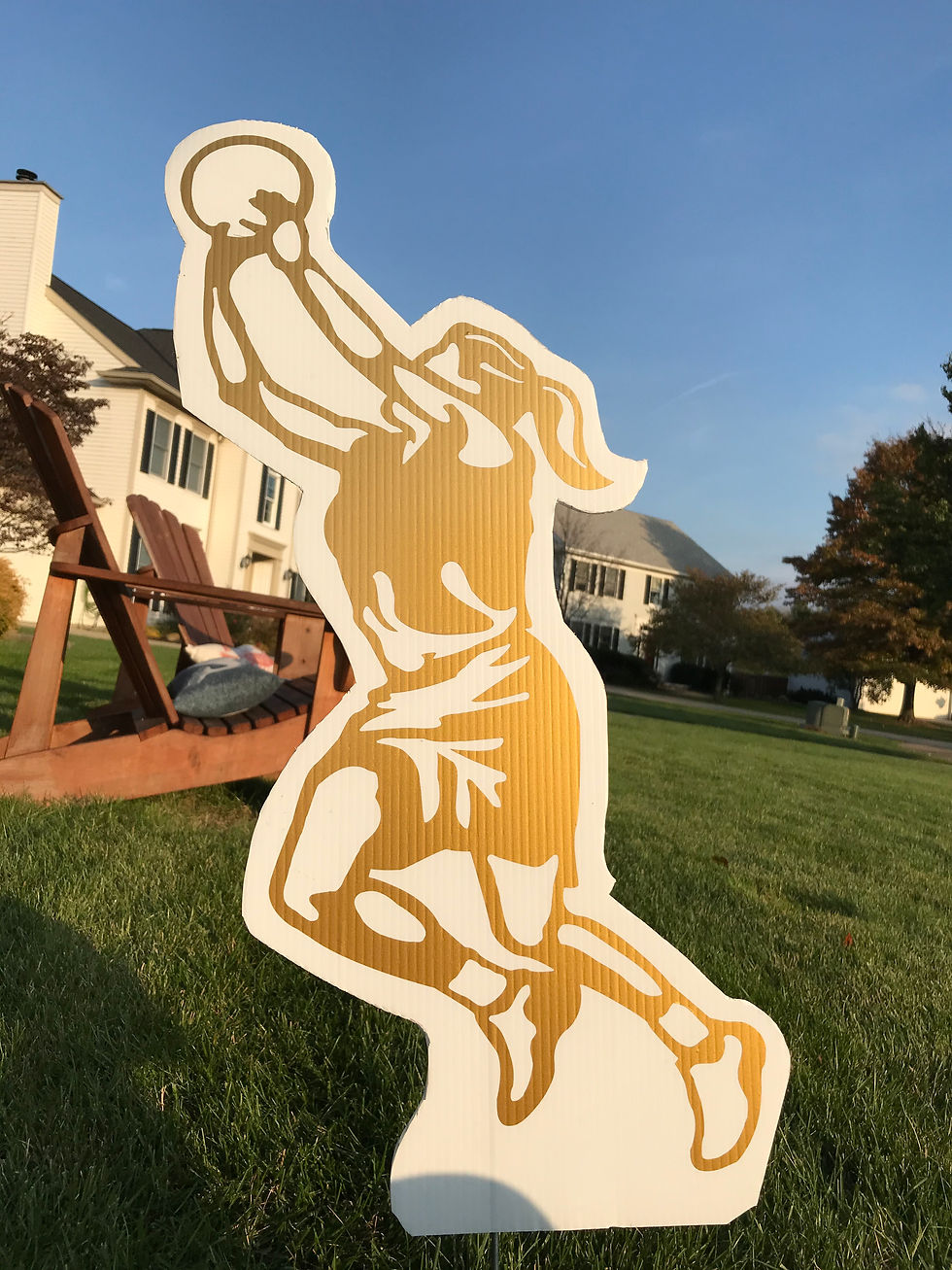 Basketball Girl