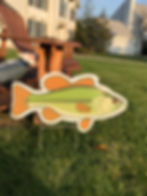 Fish