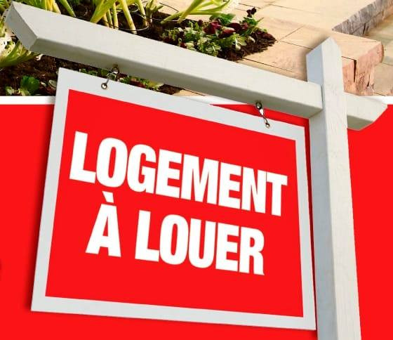 A LOUER | Immoluxe