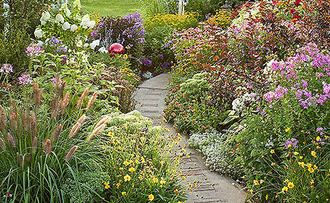 neighbor care pic garden path.jpg