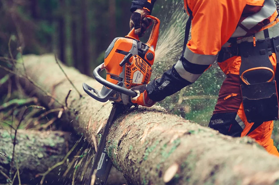 Thumbnail: Husqvarna 564 XP fuel injected chainsaw cutting a log