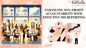 Enhancing Non-Profit Accountability with Effective MIS Reporting