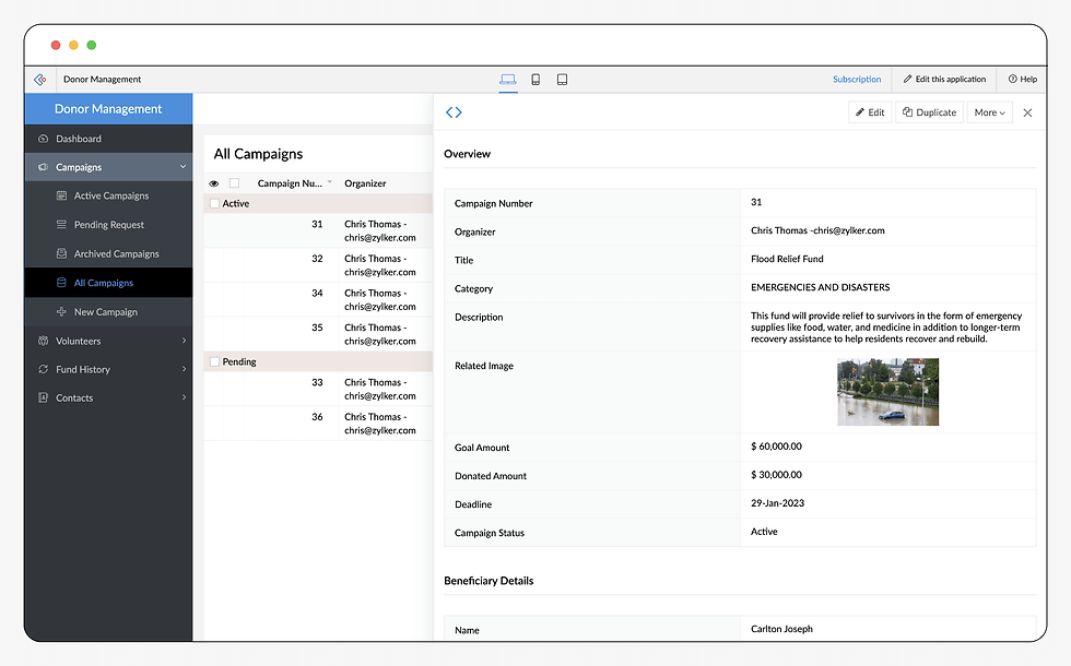 Comprehensive Campaign Management