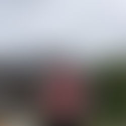 10/15　令和元年台風15号（木更津市）