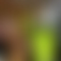 2024/08/07　令和6年能登半島地震珠洲市