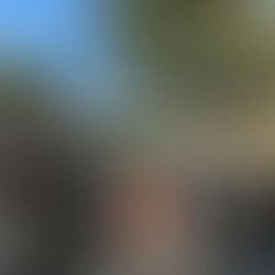 2026/03/11　東日本大震災から15年。鶴舞公園での追悼式と、これからの備え