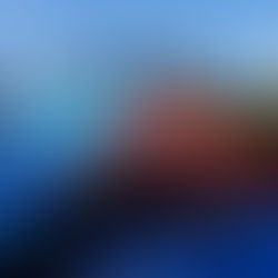 2/8　令和元年台風19号（鋸南町）