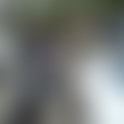 2025/01/13　令和6年石川県能登半島地震及び豪雨災害珠洲市