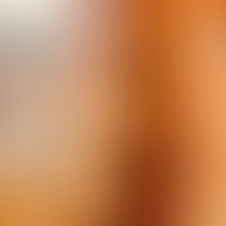 12/2 令和元年台風19号（角田市）